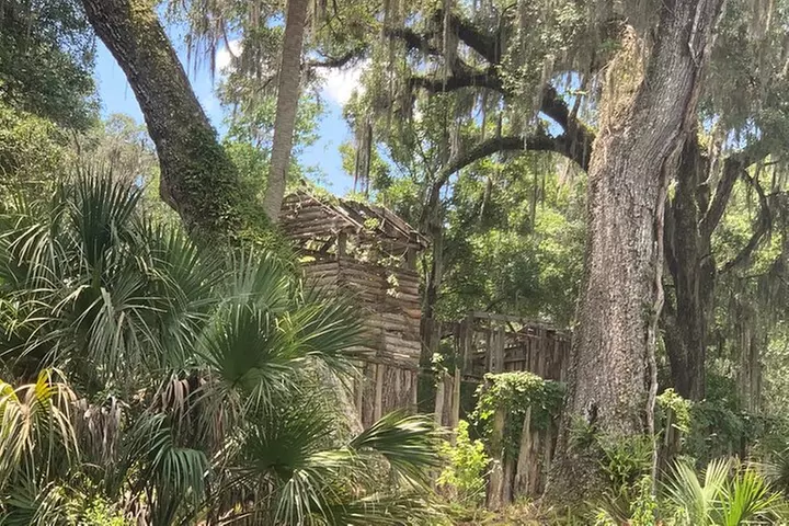 Clear Canoeing and Wildlife Sightseeing at Silver Springs
