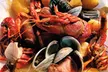 5% Cash Back at Alibi Pub and Grub - Second Medium