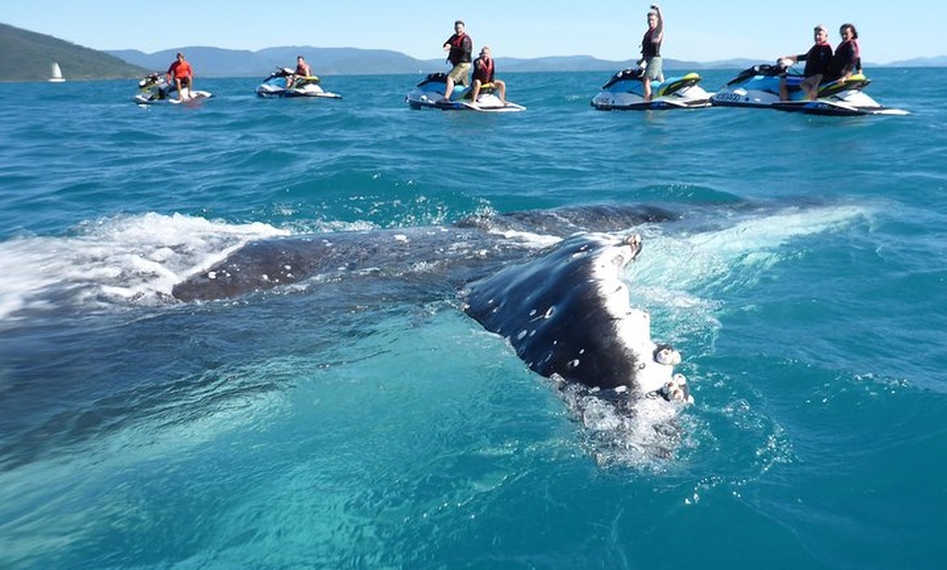 Image 22: Whitsundays Guided Jet Ski Tour