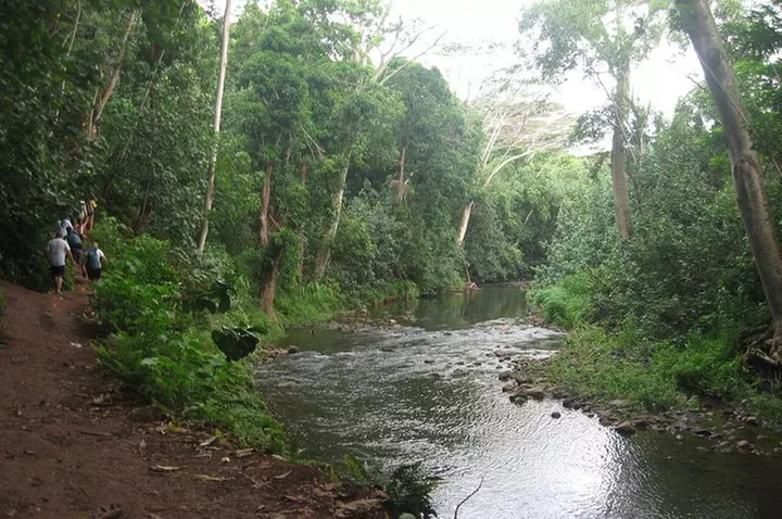 Kauai Adventure: Kayak & Hike to Secret Falls with Expert Guide