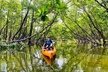 Exclusive Relax & Explore Pedal Kayak Tour Marco Island & Naples - Second Medium