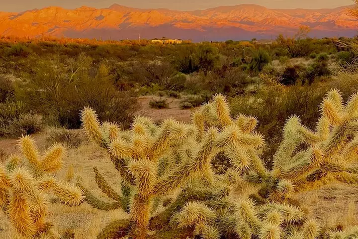 Stunning Sunset or Sunrise Guided Hiking Adventure in Phoenix