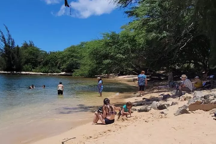 Oahu Circle Island: Snorkel with Turtles & Explore Turtle Beach