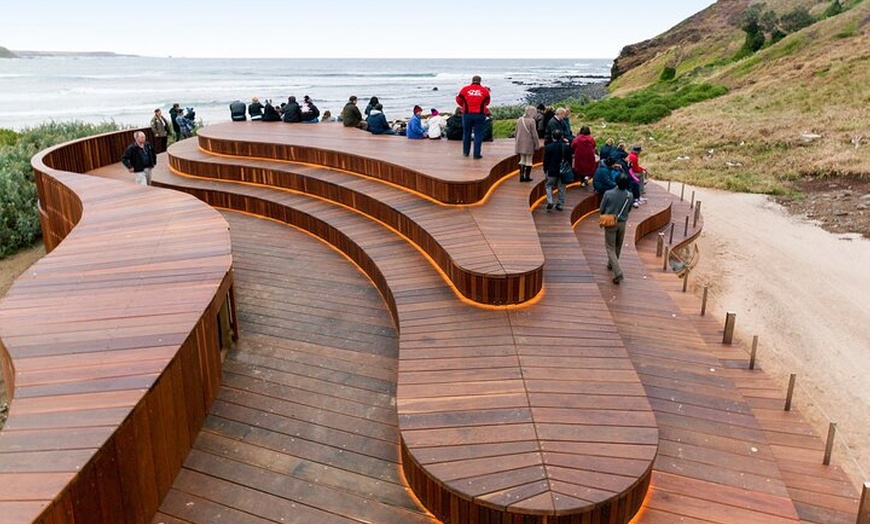 Image 11: Phillip Island Penguin Parade Day Tour from Melbourne