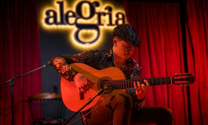 Image 9: Espectáculo auténtico de flamenco. Alegria y gastronomia Málaga