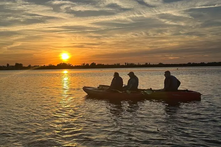 Sunset Kayaking with Dolphins