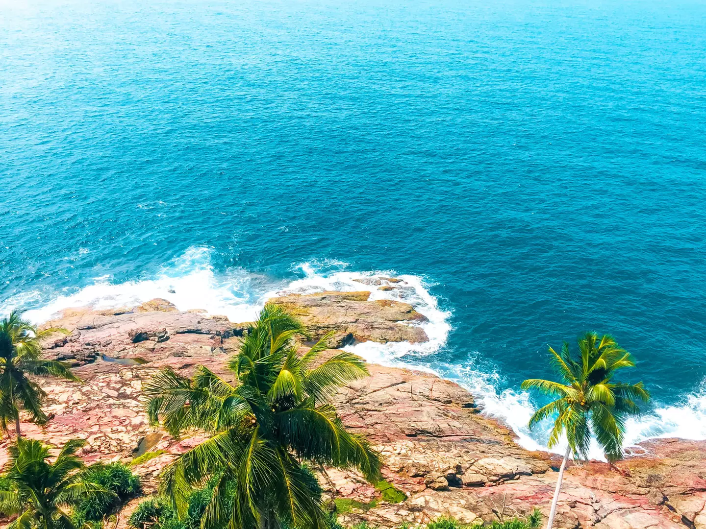 ✈ SRI LANKA | Colombo - Entdeckung der 5 Sinne in Sri Lanka 4*, 8 N...