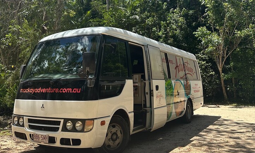 Image 5: Eungella Platypus Tour