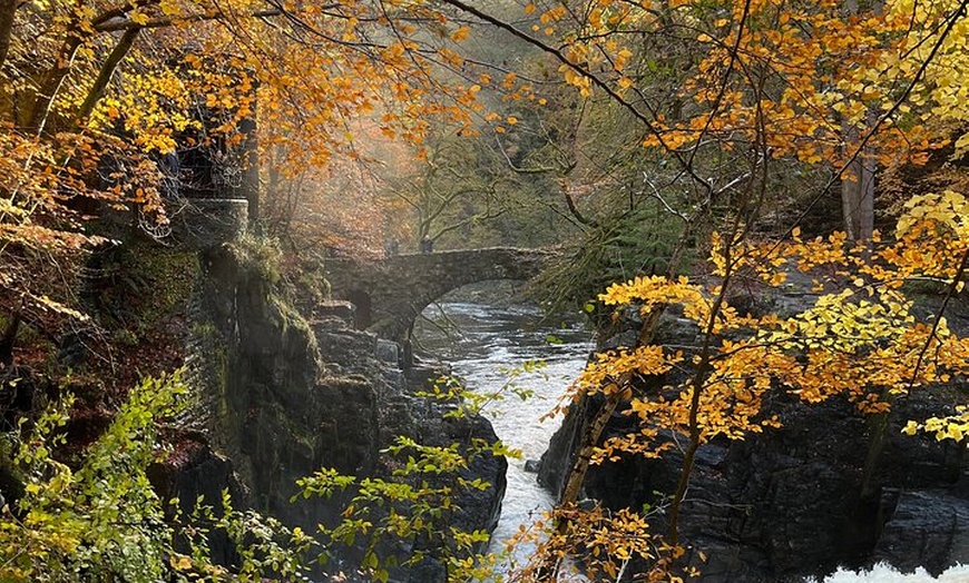 Image 3: Luxury Private Tour of The Highlands