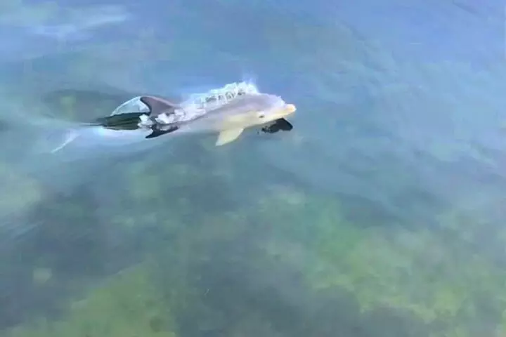 MasterBeast Yacht Charter40 Boat Rental Tours Private Miami