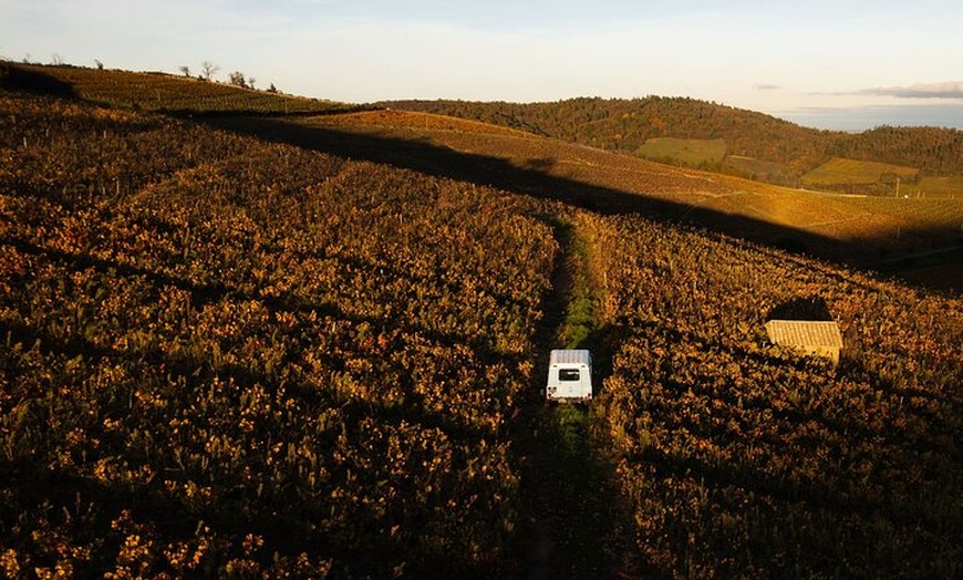Image 9: Explorez le Beaujolais lors d'une visite privée d'une demi-journée ...