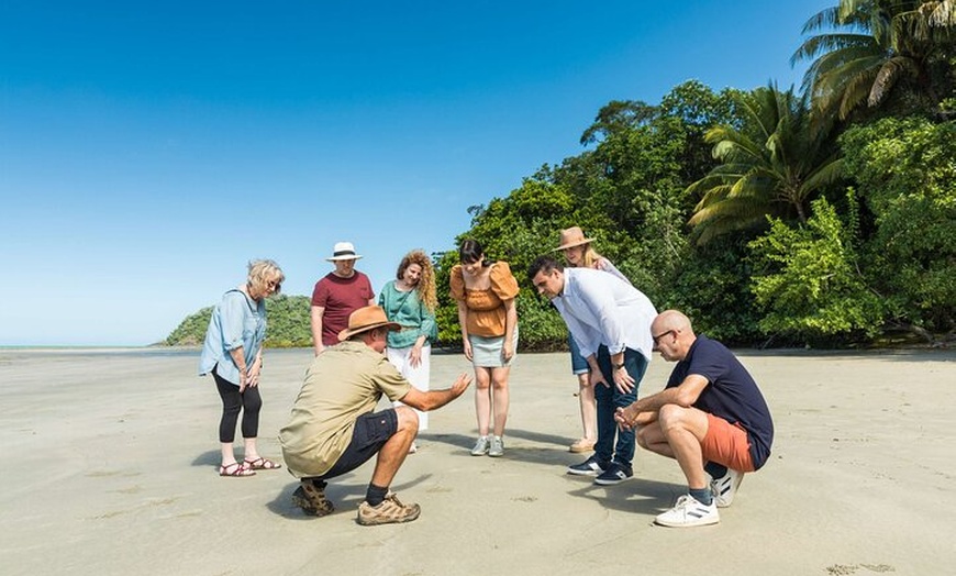 Image 10: Daintree Rainforest and Cape Tribulation Full Day Tour