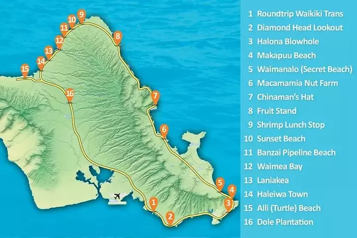 Oahu's Ultimate Tour: Dole, Turtle Snorkel, Pali Lookout & More