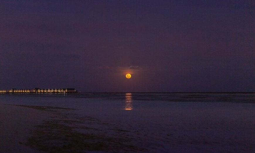Image 3: Navegación Nocturna Bajo la Luna Llena en Sotogrande de 2.5 Horas