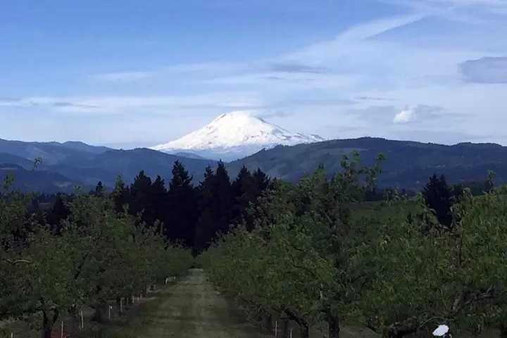 The Hood-Columbia Loop: Timberline, Orchards, and Waterfalls