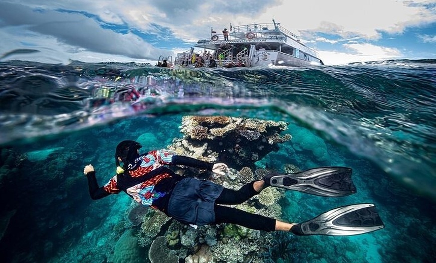 Image 2: Great Barrier Reef with Cultural Guides-Dreamtime Dive & Snorkel