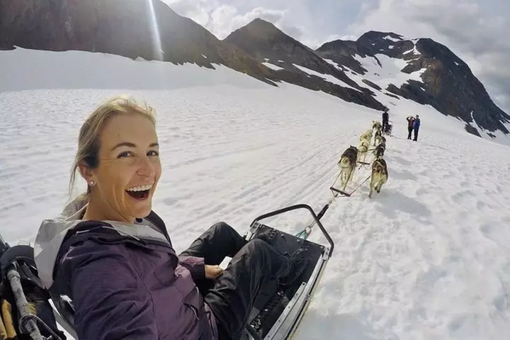 Summer Glacier Dogsledding Tour from Girdwood