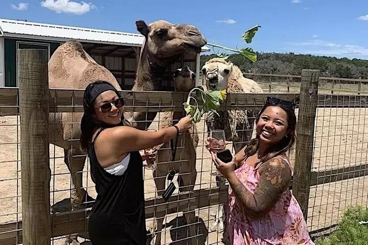 Become a Ranch Hand for a Day in Fredericksburg