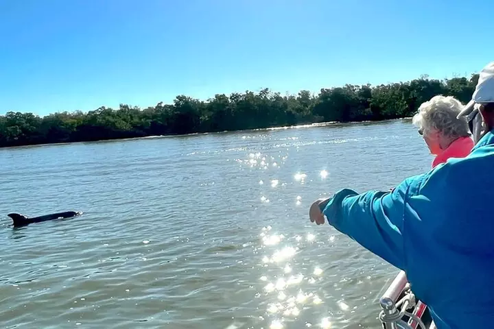 Best of Marco Island Dolphin Tour