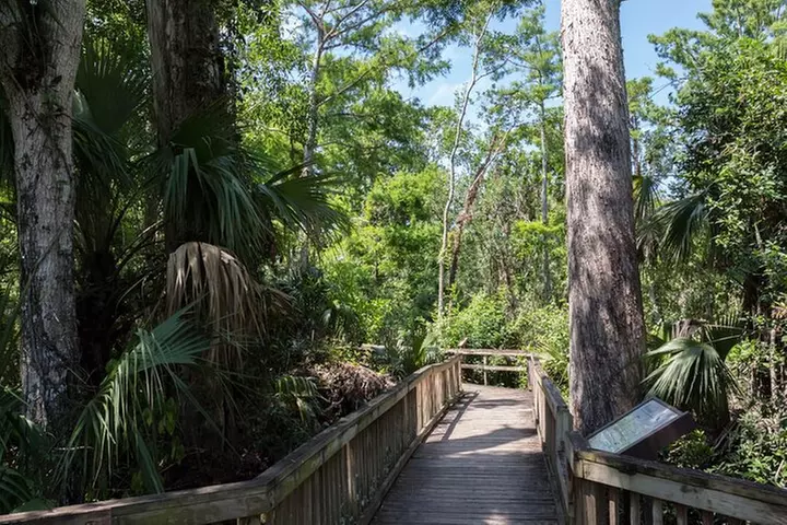 Big Cypress National Preserve Self Guided Driving Audio Tour