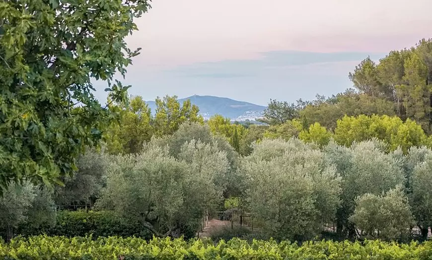 Image 11: A caballo entre viñedos y cata de vinos: Aventura y enoturismo