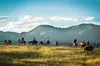 2 Hour Horseback Ride