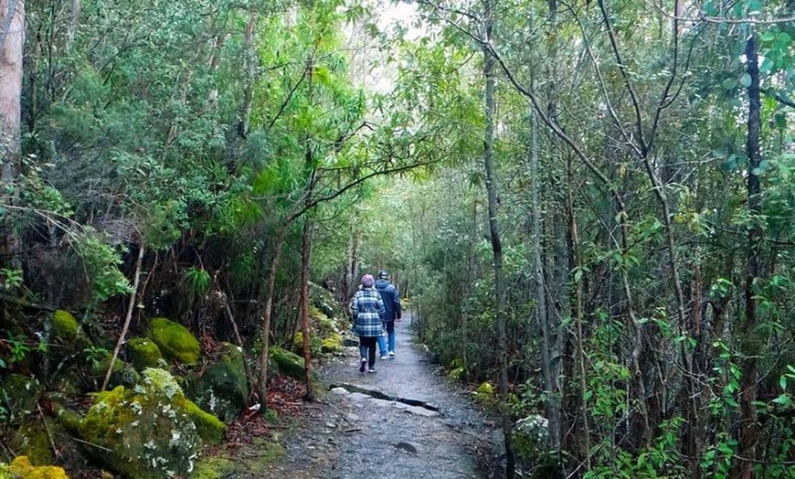 Image 6: kunanyi/Mt Wellington Tour & Hobart Hop-On Hop-Off Bus