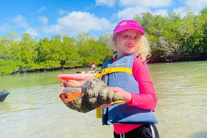 Kayak Tour Adventure Marco Island and Naples Florida