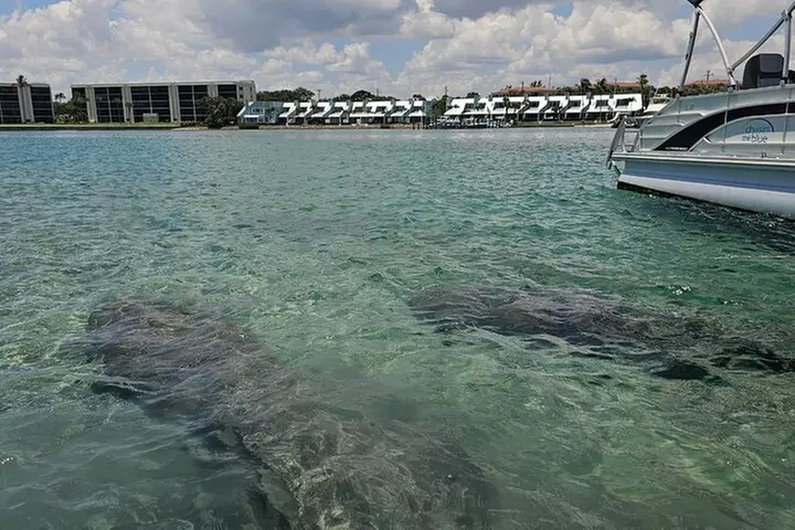 Jupiter 2Hr Sightseeing Charter on the Intracoastal Waterway - Second Medium
