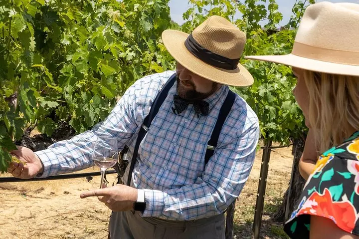 Sonoma & Carneros Cable Car Wine Tasting Tour - Primary Image