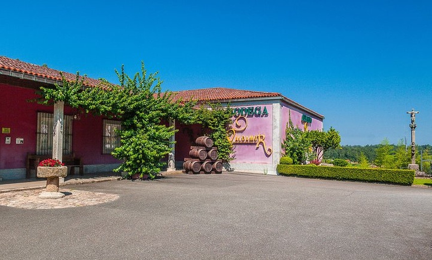 Image 4: Rías Baixas Tour privado con cata de vinos, comida, mejillones y re...