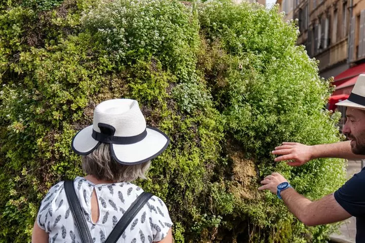 Visite Guidée Aix-en-Provence Historique et Gourmande.