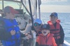 Whale Watching, Shark and Cod Fishing, from St. John's Harbor