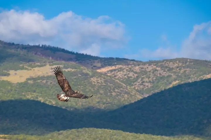 Capitol Reef National Park Self-Guided Driving Audio Tour
