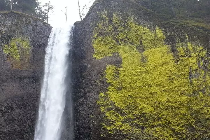 Morning Multnomah Falls and Gorge Waterfalls Tour