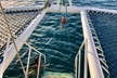 Moana's Waikīkī Grand Guided Turtle Snorkel & Sailing Adventure - Second Medium