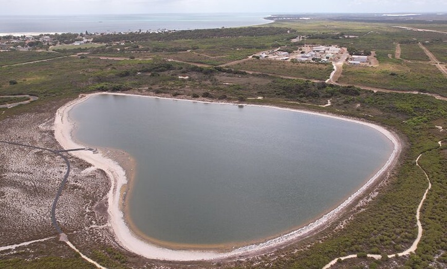 Image 10: Pinnacles+Lancelin Sand Dune Impression Day Tour from Perth