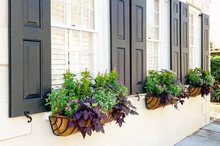 Private Historic Horse & Carriage Tour of Charleston