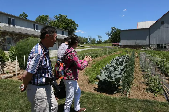 Authentic Tour & Meal with the Amish!