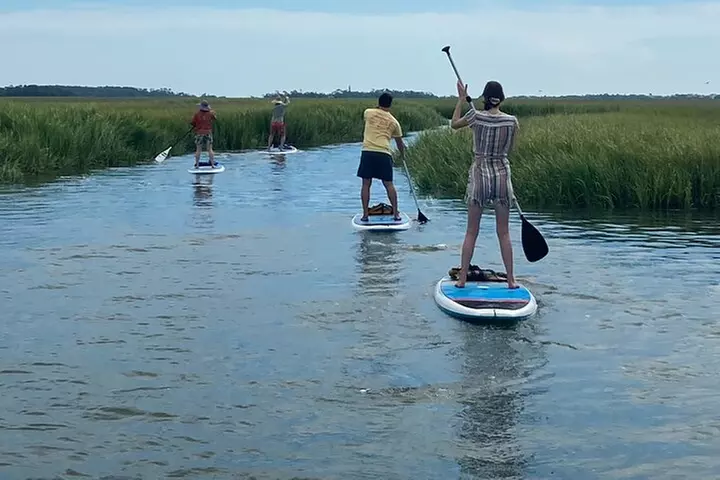 Charleston/Folly Beach Stand up Paddleboard Tour