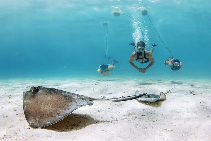 Snorkeling Experience on a NEMO Diving System - Primary Image