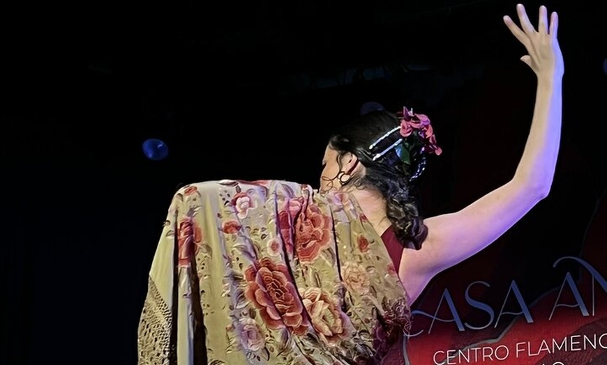 Image 14: Espectáculo de Flamenco Tradicional en el Tablao Casa Ana