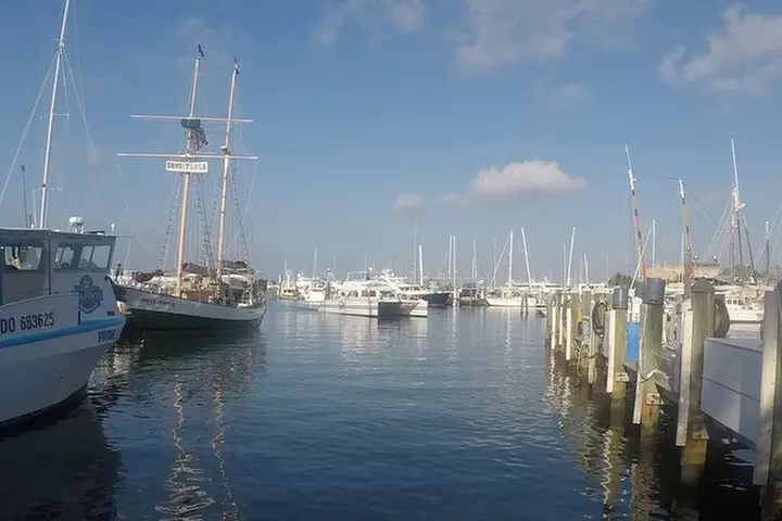 Full-Day Key West Tour and Coral Reef Snorkeling with Open Bar