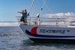Pau Hana Sunset Cruise with the Whales - Second Medium