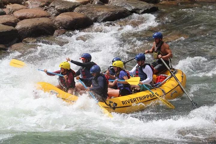 Durango "4.5 Half-Day" Rafting Trip Down the Animas River - Primary Image
