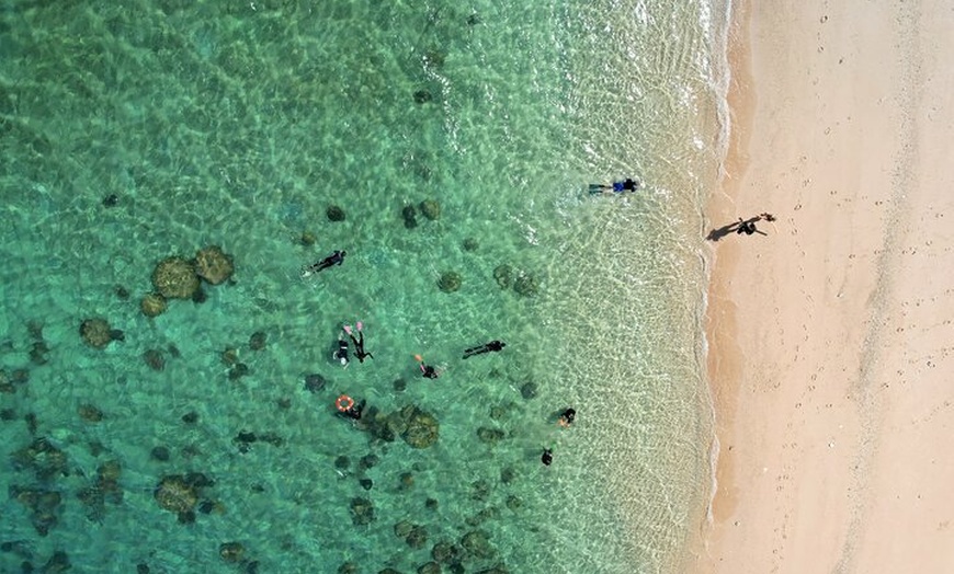 Image 4: Full-Day Cruise Tour to Frankland Islands Great Barrier Reef