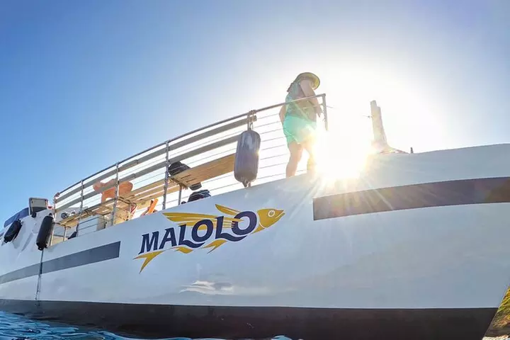 Maui Snorkeling Adventure to Molokini and Turtle Town