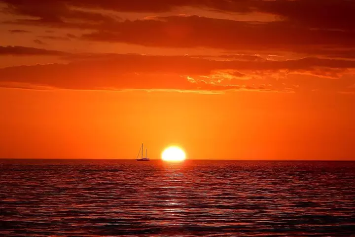 2 hour Tiki Pub Sensational Dolphin Sunset Cruise (Adults only)