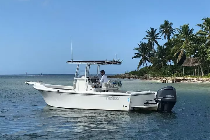Nearshore Fishing in The Gulf of Mexico - Half Day(4 hrs.) - Primary Image