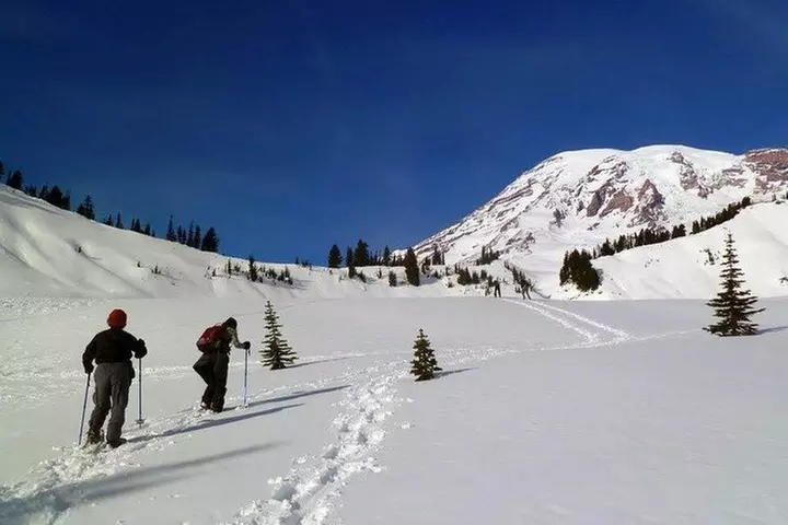 Best of Mount Rainier National Park from Seattle: All-Inclusive Sma...